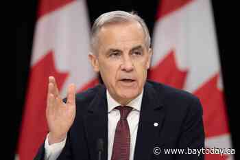 CEOs call on Carney to 'take action' to support domestic energy sector