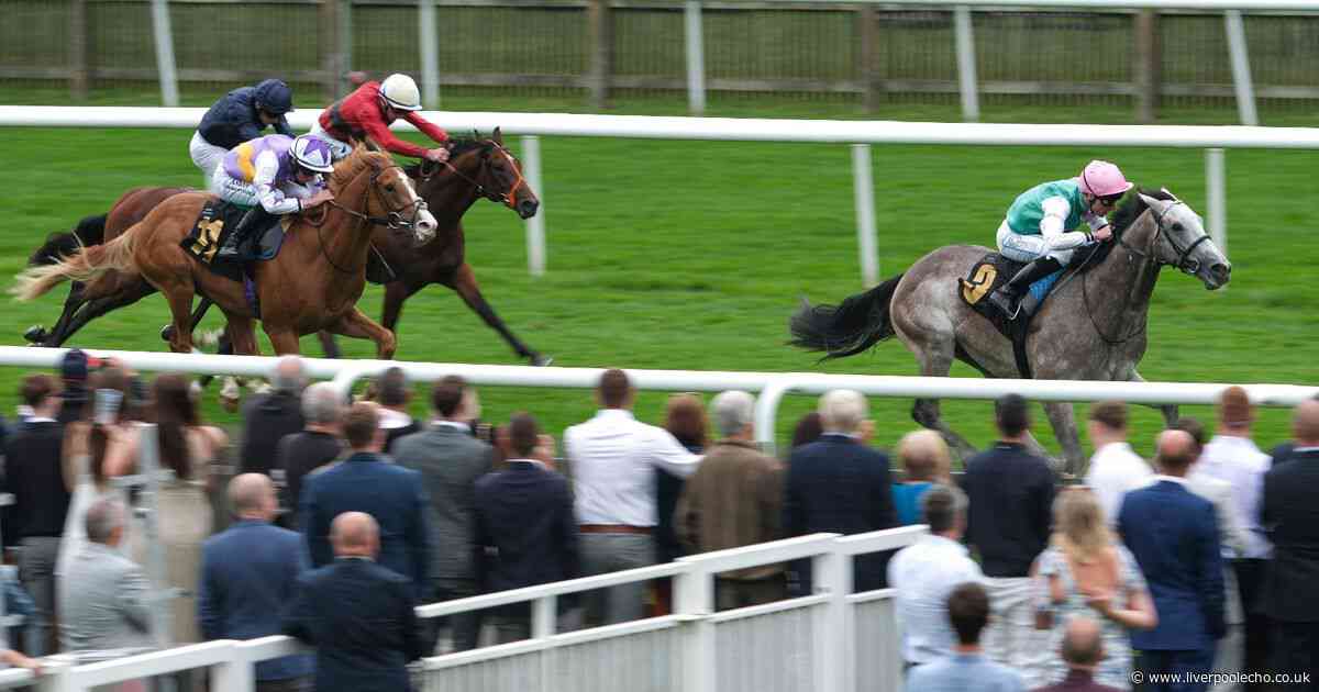 Chester May Festival 2025 day two: Mount Kilimanjaro can win the Dee Stakes