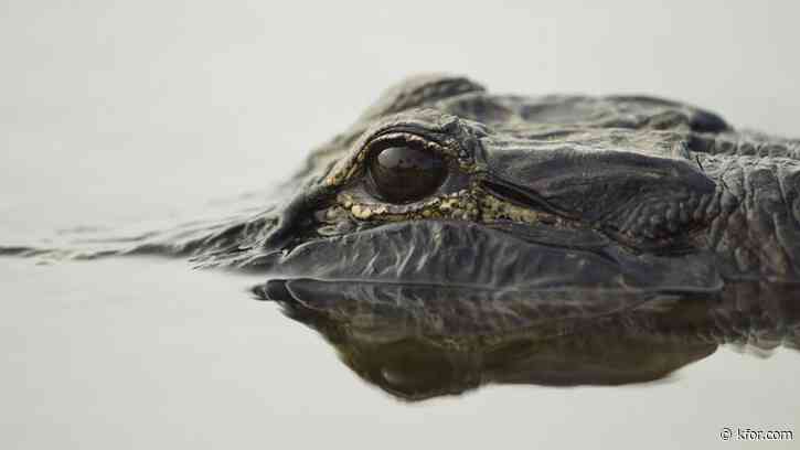 Canoeing woman killed in alligator attack at Florida state park
