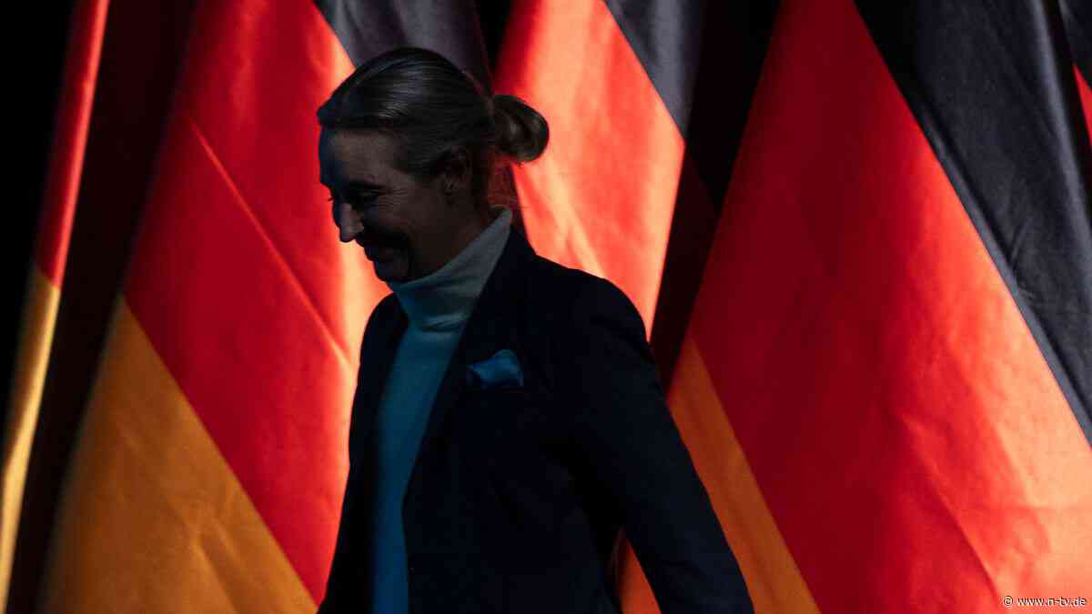 "Krieg gegen die Regierung": Das schreibt der Verfassungsschutz in seinem AfD-Gutachten