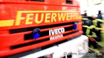 Buggy rast auf Feldweg gegen Baum – zwei Männer schwer verletzt