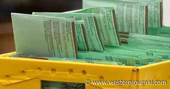 Former USPS Employee Folds in Court, Admits Part in Scheme to Steal and Cast Ballots