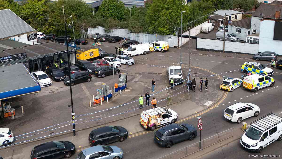 Armed police raid petrol station and find stash of guns, knives and machetes - as seven people are arrested