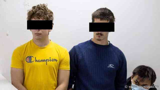 “Ze hebben berouw getoond”: Molse ‘mierensmokkelaars’ betalen meteen boete van 7.000 euro en hebben gevangenis verlaten