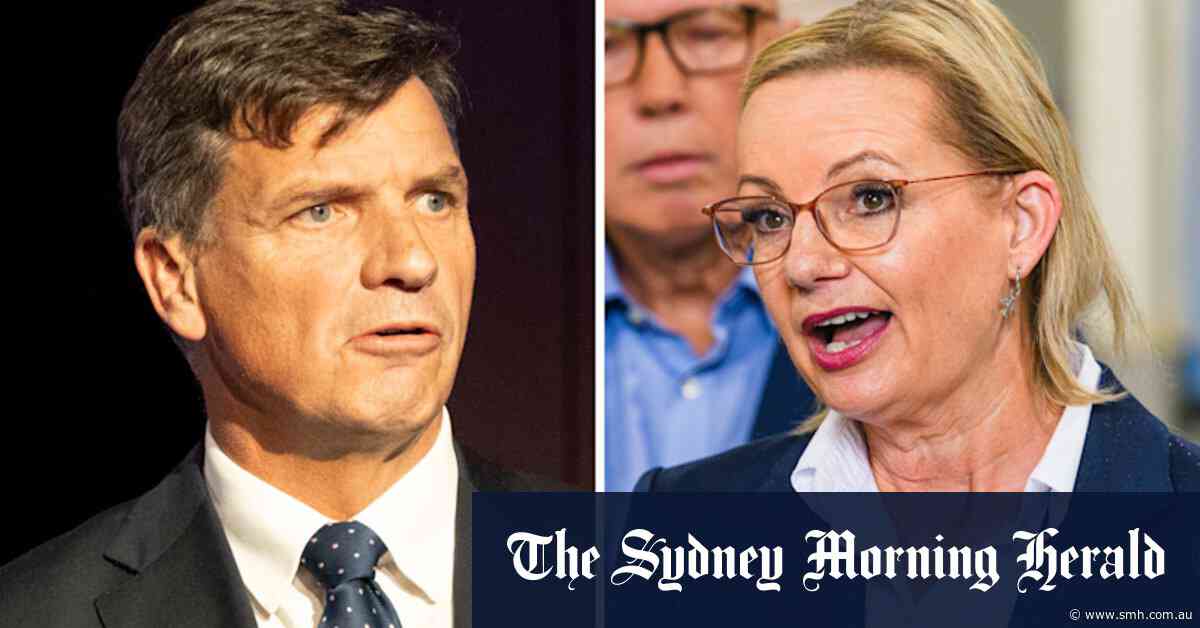 Ley gets backing from party elders as Liberal leadership battle grows hostile