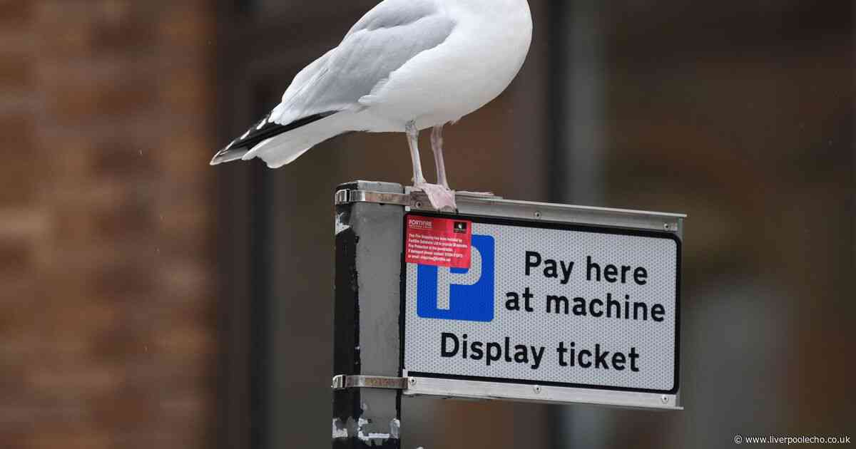 Fury as free city centre parking is scrapped 'it’s absolutely moronic'