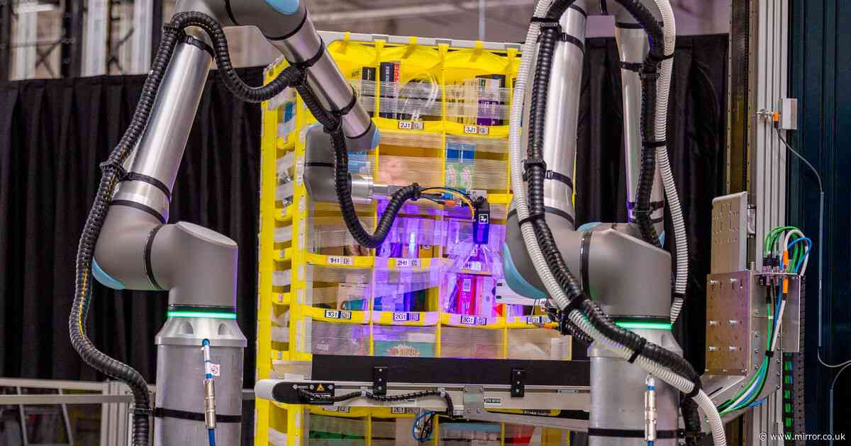 'I met the robots that could replace human Amazon workers - one thing surprised me'
