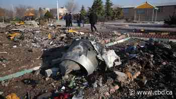 Winnipeg poised to approve memorial to victims of airliner shot down in Iran