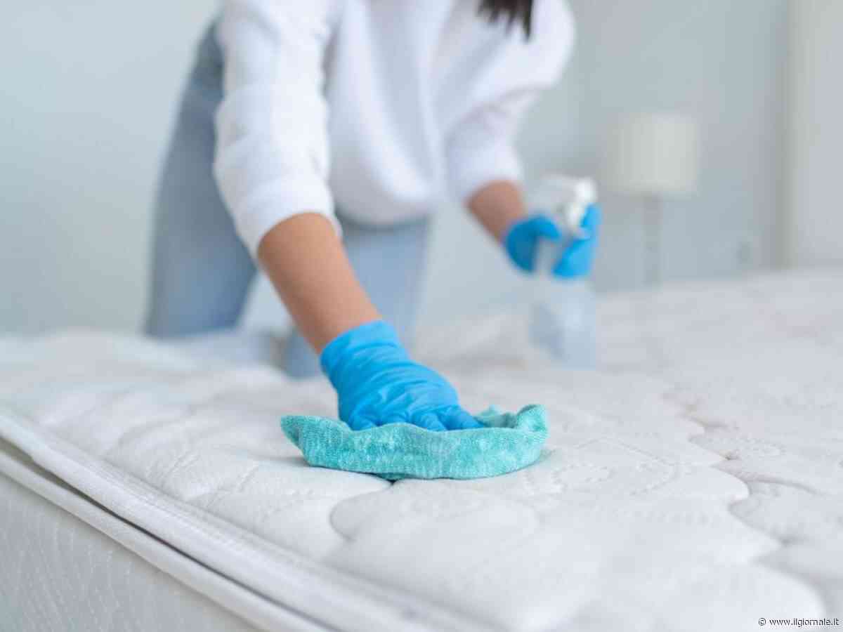 Come eliminare gli acari della polvere in casa?