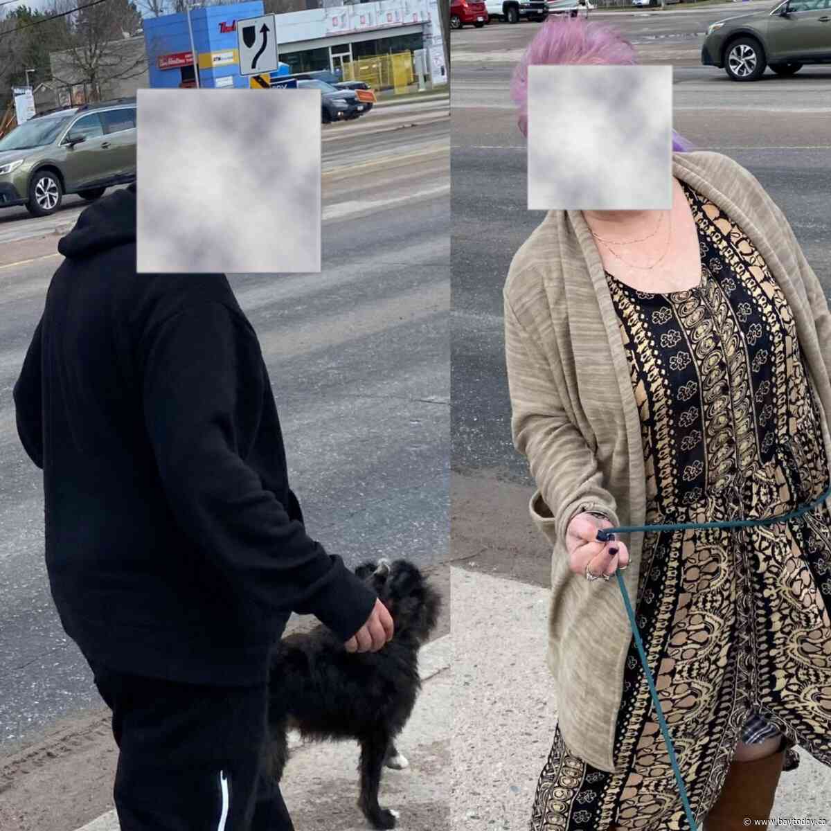 82-year-old North Bay man survives scary dog attack