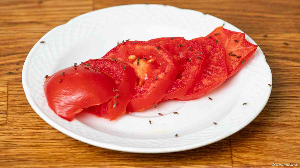 Tired of Fruit Flies Taking Over Your Kitchen? Try These Hacks