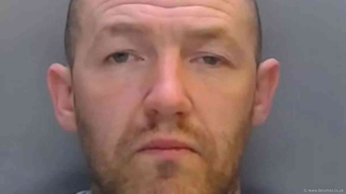 Speeding drunk driver who killed his murderer pal in a New Year's Eve crash is jailed