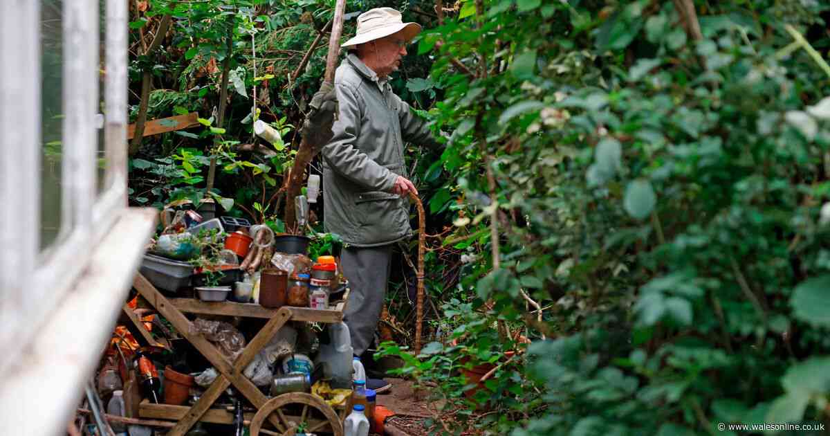 Eighty-year-old hoarder who has filled his garden with junk given ultimatum