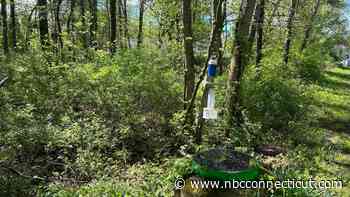Towns and cities across the state are gearing up for mosquito season