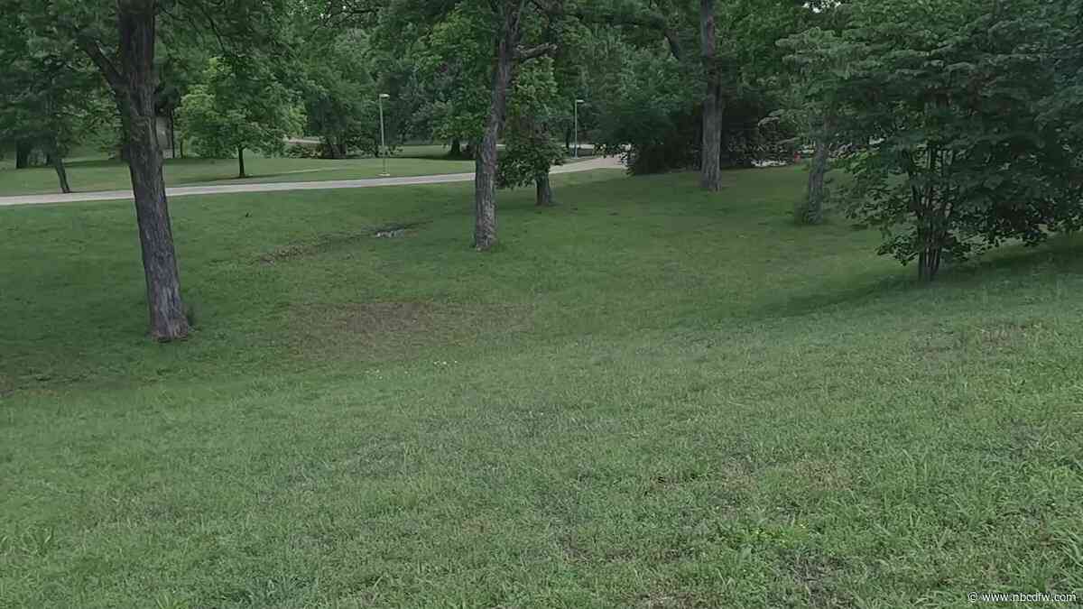 “Aggressive” coyote shot, killed by deputy marshal in Dallas park, police say
