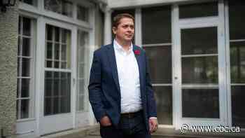 Scheer doesn't seem keen to move into Stornoway, but says talks are 'ongoing'