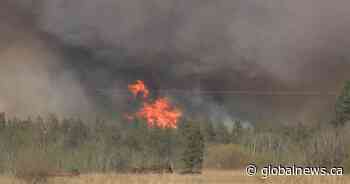 Much of Alberta under fire bans amid soaring temperatures, gusting winds