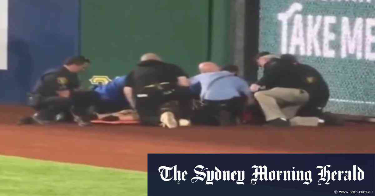 New vision of MLB fan fall