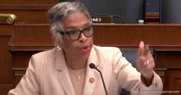 Watch: Democratic Congresswoman Loses It During Scott Bessent Hearing, Shouts at Chairman for 2 Minutes Straight