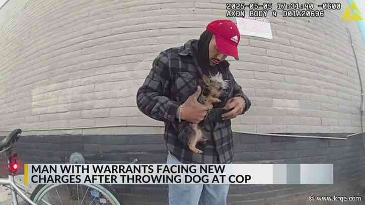 VIDEO: Man throws small dog at Albuquerque officer during arrest