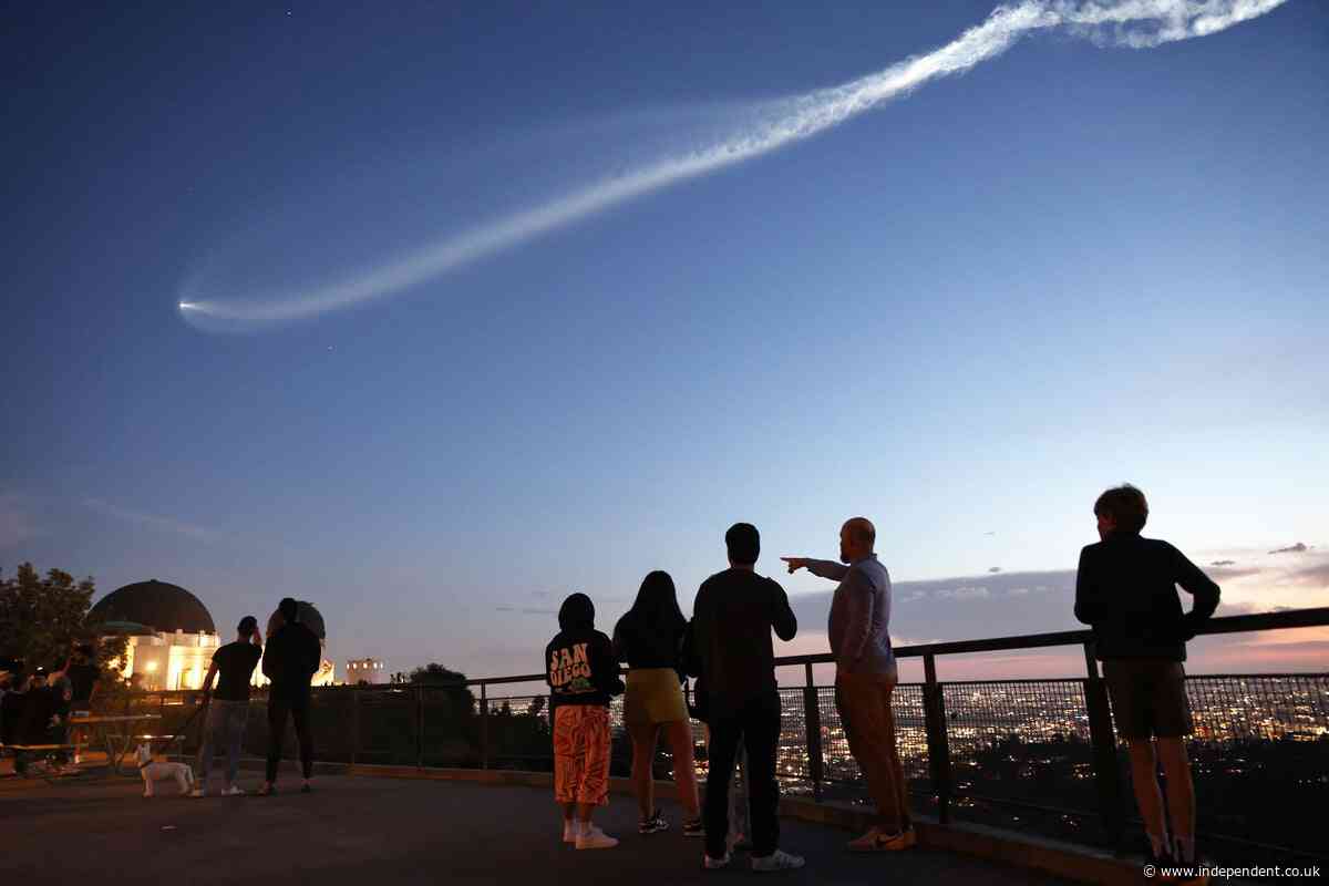 US is pushing Starlink on nations facing tariffs as Musk stands to benefit from trade deals: report