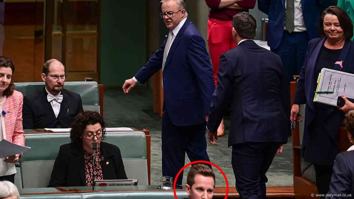 Anthony Albanese's arch rival Max Chandler-Madler launches another explosive attack on Albanese's character - as the feud takes another nasty turn