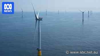 Offshore wind advocates say Labor's win a 'mandate' for swift action