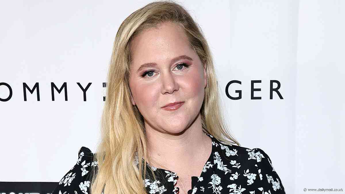 Is Amy Schumer the unnamed star Hilaria Baldwin feuds with in her new memoir?