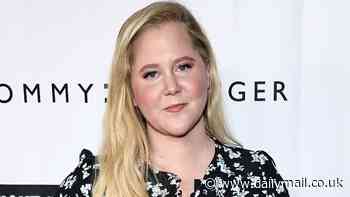 Is Amy Schumer the unnamed star Hilaria Baldwin feuds with in her new memoir?