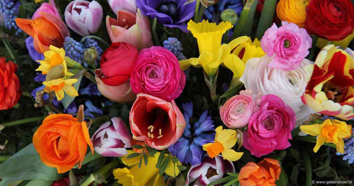 Bloemetje voor Moederdag? Aardige kans dat er gevaarlijke gifstoffen op zitten