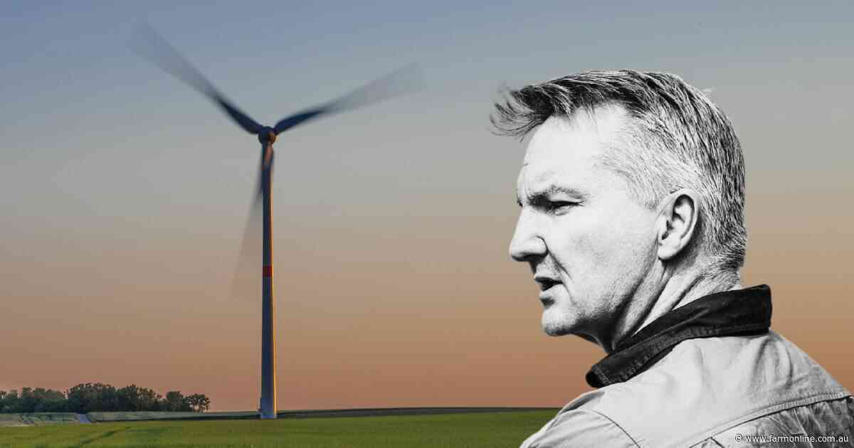 Renewable firms to 'get on with it' after Labor win bombs nuclear future