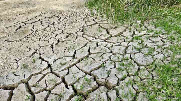 El 10% más rico del mundo ha causado dos tercios del calentamiento global desde 1990