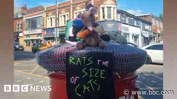 'Rats the size of cats' postbox topper appears