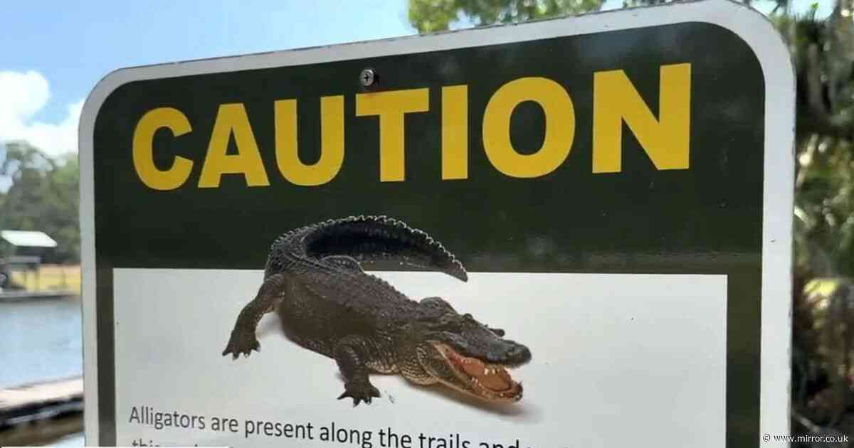Florida woman killed by alligator during canoe trip as husband desperately tried to save her