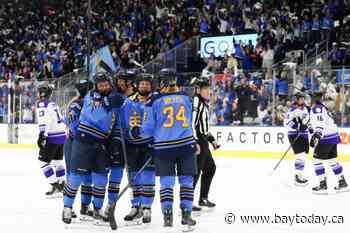 Rookie Gosling stars in Sceptres 3-2 Game 1 win over Frost in PWHL playoffs