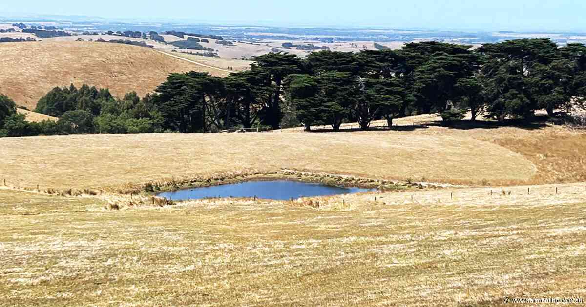 Victoria's West Gippsland retains title as nation's most expensive farmland