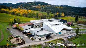 Wine M&A slowdown points to shrinking Oregon industry