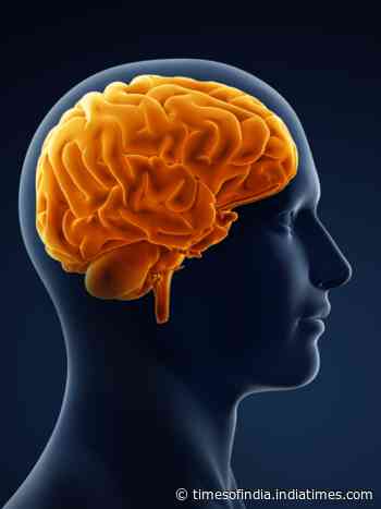 10 foods for brain growth and memory for children