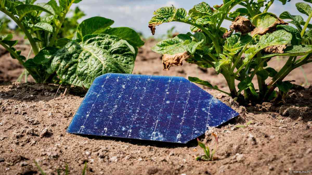 Bij brand belanden steeds vaker splinters van zonnepanelen in (wijde) omgeving