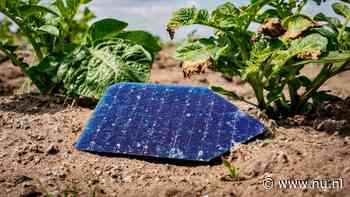 Bij brand belanden steeds vaker splinters van zonnepanelen in (wijde) omgeving