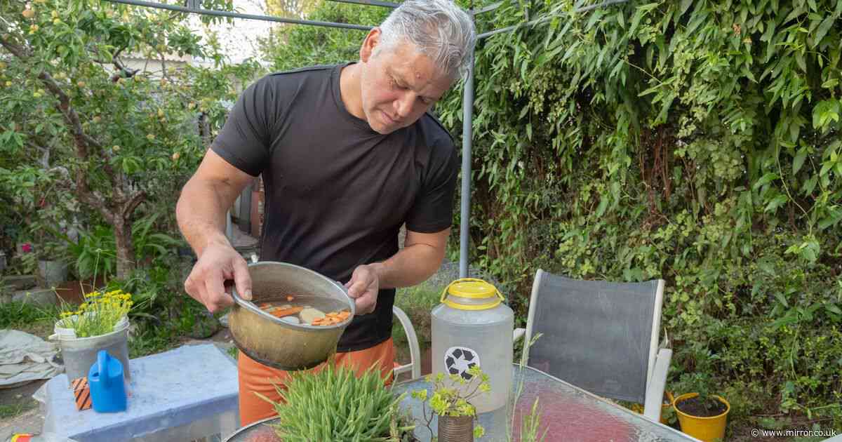 Edible gardener's natural fertiliser made with ingredient you normally pour down drain