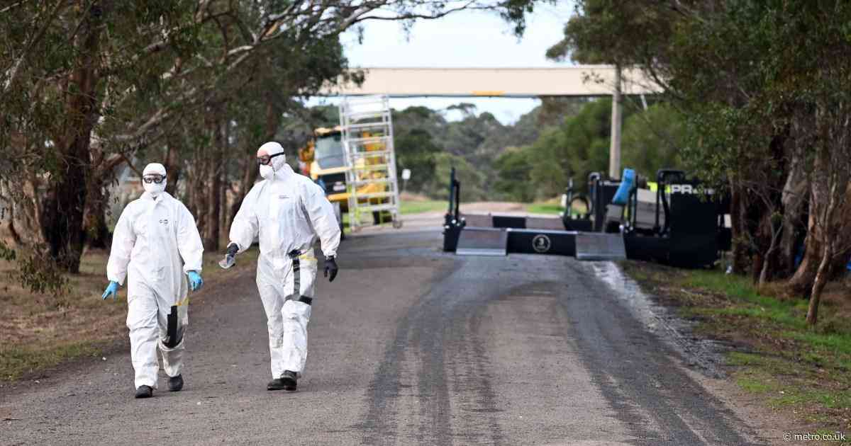 US warned to prepare as bird flu ‘absolutely could be the next pandemic’