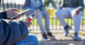 Vandalism, vaping, and disruption – a grim portrait of Wales' schools