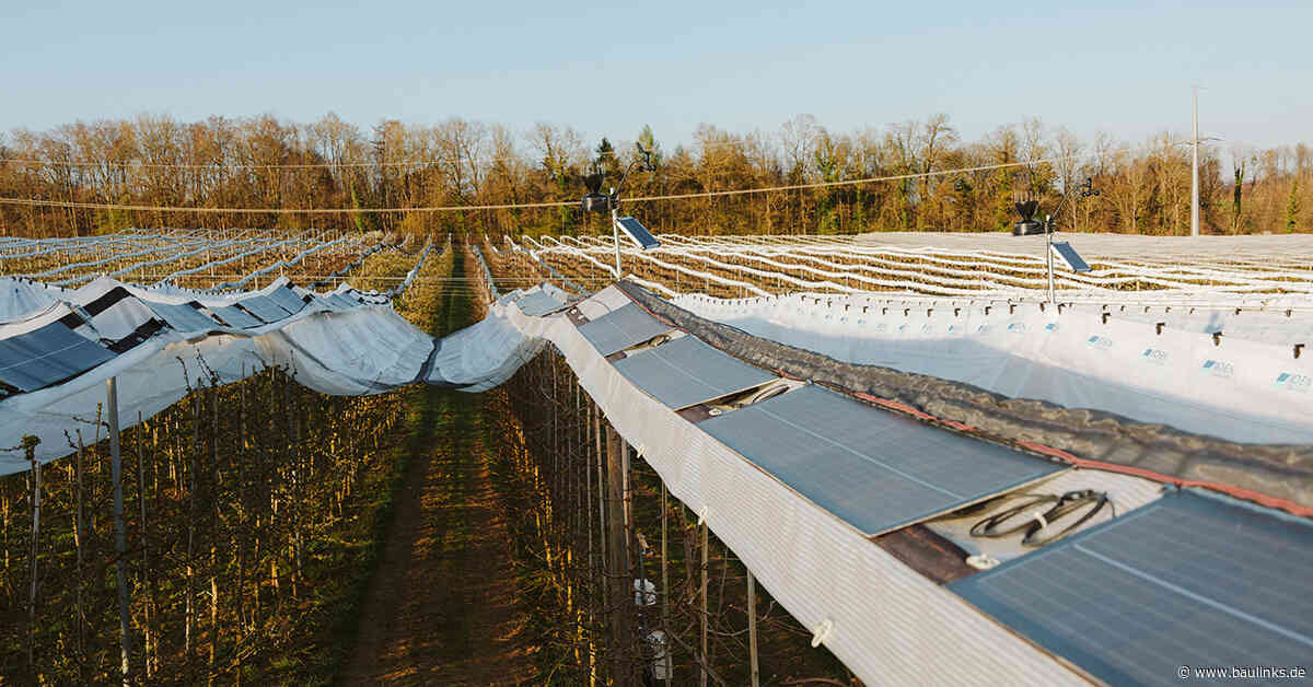 Agri-PV: Fraunhofer ISE und VOEN entwickeln solartauglichen Witterungsschutz