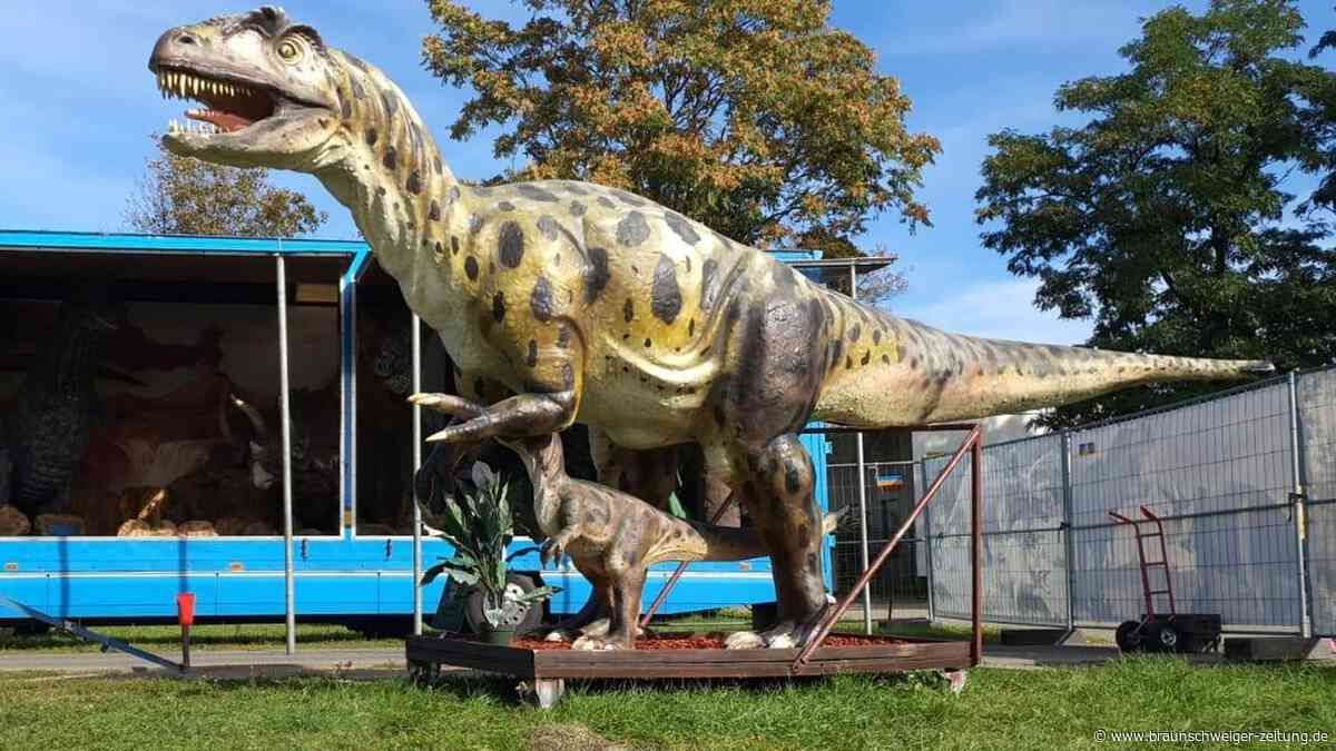 Die Dinos kommen! Tyrannosaurus Rex erobert Salzgitter