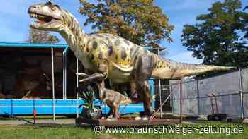 Die Dinos kommen! Tyrannosaurus Rex erobert Salzgitter