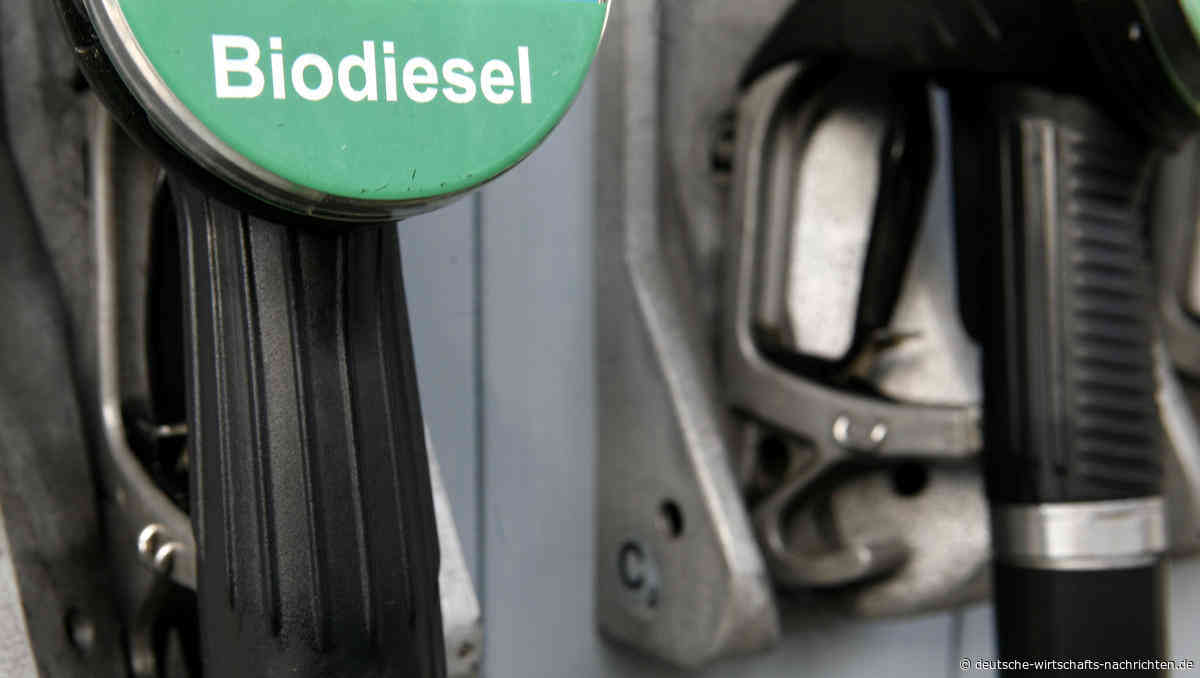 Ungenutztes Potenzial: Biokraftstoffe könnten Europas Verkehr sofort dekarbonisieren – doch die Politik bremst