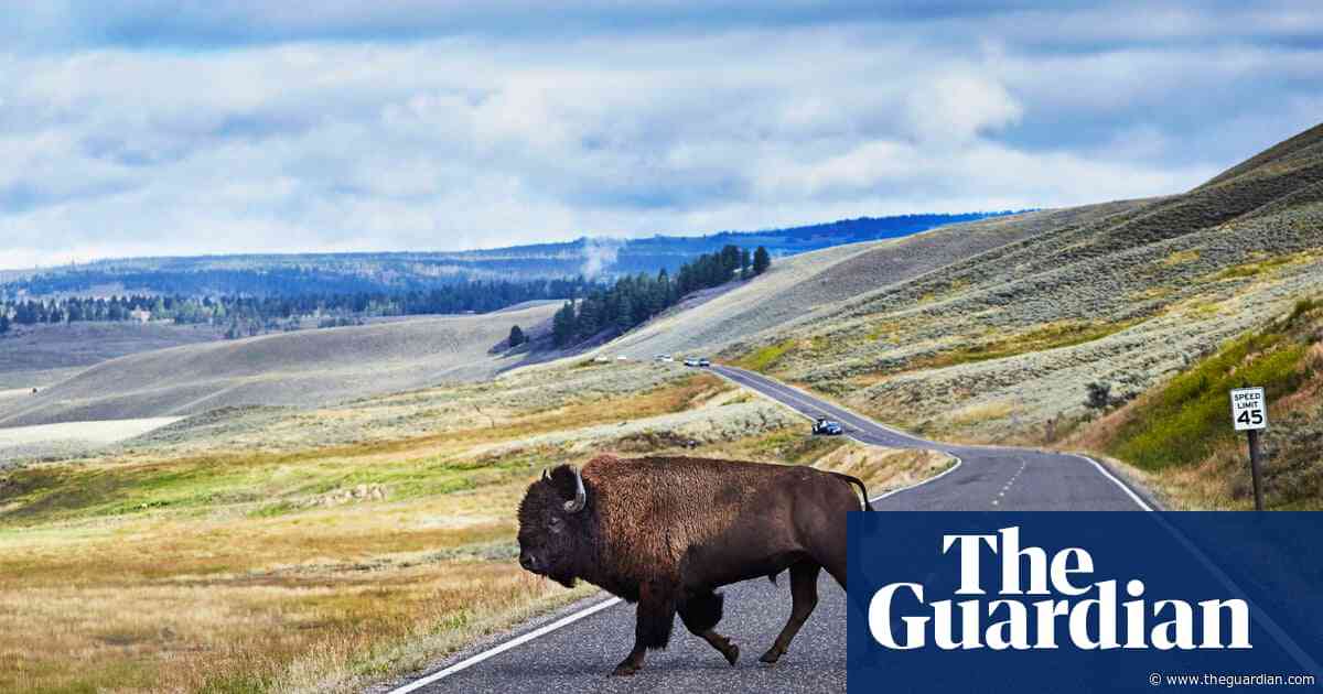 Trump reportedly eyes $26m in funding cuts for US national parks