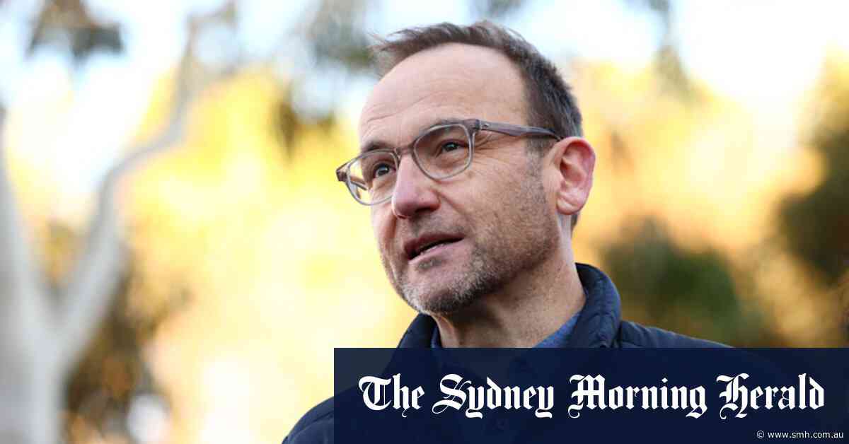 Greens’ leader Adam Bandt concedes he cannot retain the seat of Melbourne
