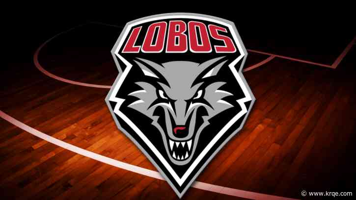 Lobo basketball adds another guard with Summit League 6th man of the year